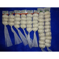 New Pure White Garlic Best Quality